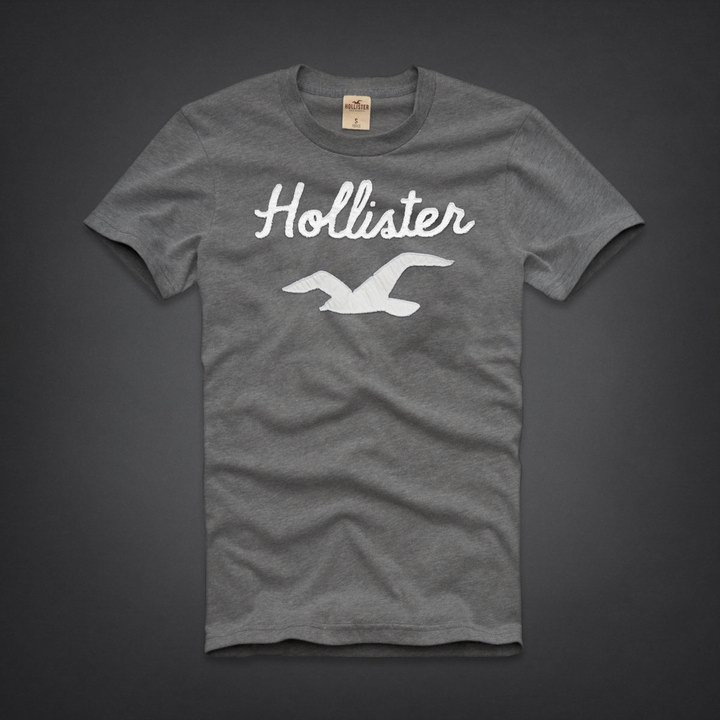 Tee shirt Hollister Homme Gris